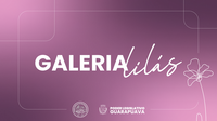 Aviso de Pauta: Inauguração da Galeria Lilás