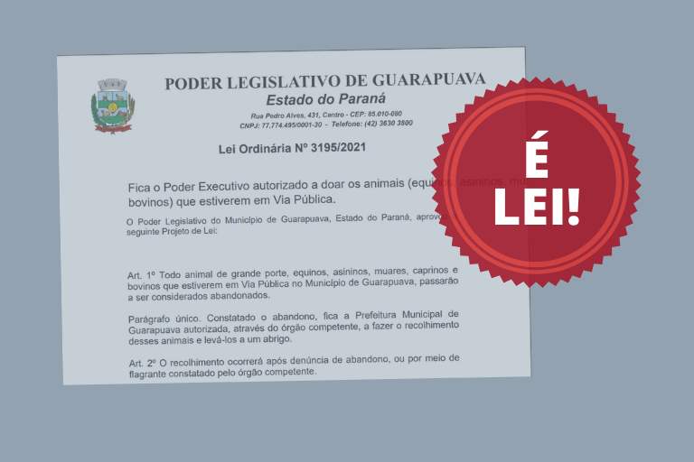 Está em vigor Lei que doa animais de grande porte abandonados em vias públicas