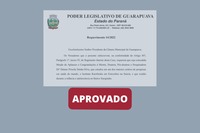 Legislativo vai homenagear a guarapuavana Daiane Simão Silva, primeira brasileira a realizar pesquisas em Departamento de Instituto da Suécia