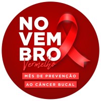 Poder Legislativo sedia lançamento das ações de Novembro Vermelho